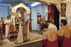 ԼԱՒԱԼ-ՁԵՌՆ-11
