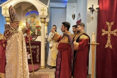 ԼԱՒԱԼ-ՁԵՌՆ-31