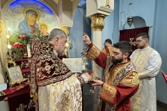 ԼԱՒԱԼ-ՁԵՌՆ-8